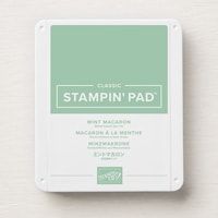 Mint Macaron Classic Stampin' Pad