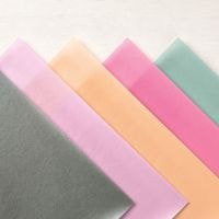 2021–2023 In Color Shimmer Vellum