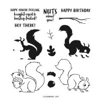 Nuts About Squirrels Photopolymer Stamp Set (English)